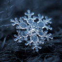 สมาชิกหมายเลข 4816143