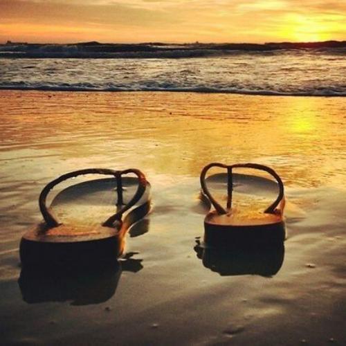 สมาชิกหมายเลข 5611685