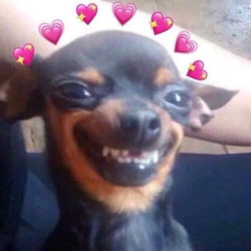 สมาชิกหมายเลข 6068589