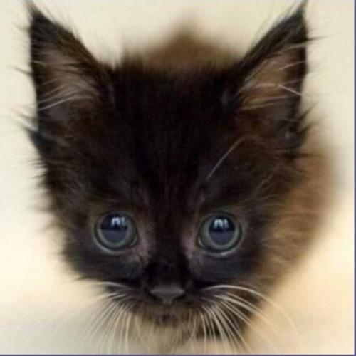 สมาชิกหมายเลข 6173459