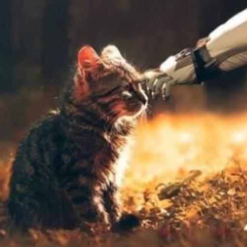 สมาชิกหมายเลข 6179023