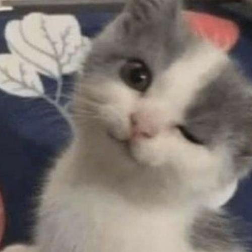 สมาชิกหมายเลข 6423097