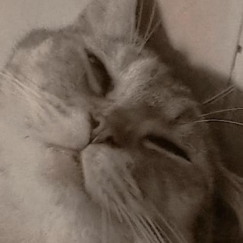 สมาชิกหมายเลข 7585976