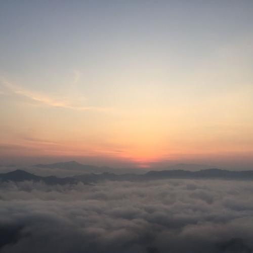 สมาชิกหมายเลข 3199786