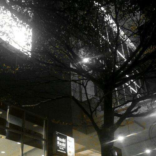 สมาชิกหมายเลข 4483404