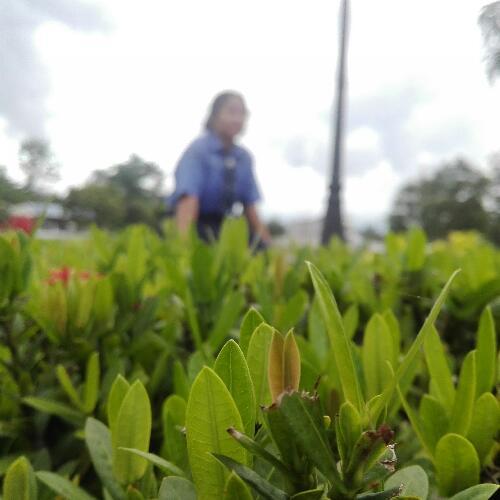 สมาชิกหมายเลข 4778770