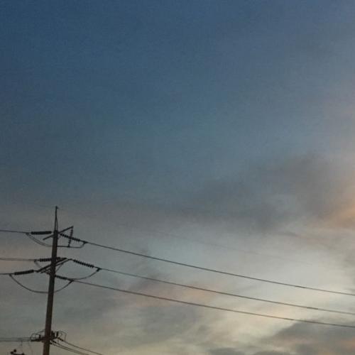 สมาชิกหมายเลข 4816354