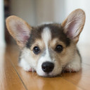 สมาชิกหมายเลข 3356020