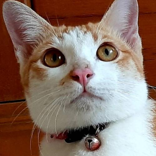 สมาชิกหมายเลข 1879698