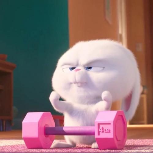 สมาชิกหมายเลข 5784787