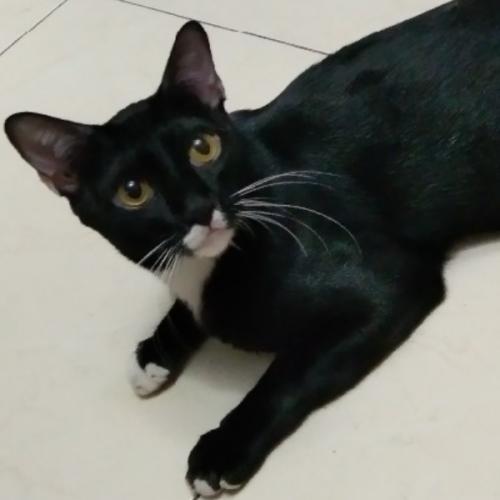 สมาชิกหมายเลข 6816638