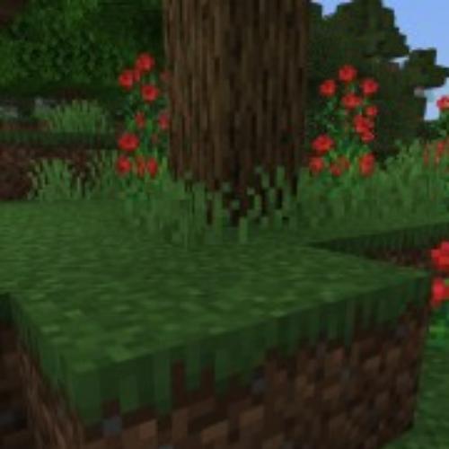 สมาชิกหมายเลข 2052096