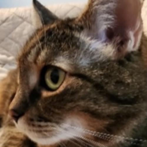 สมาชิกหมายเลข 1696097