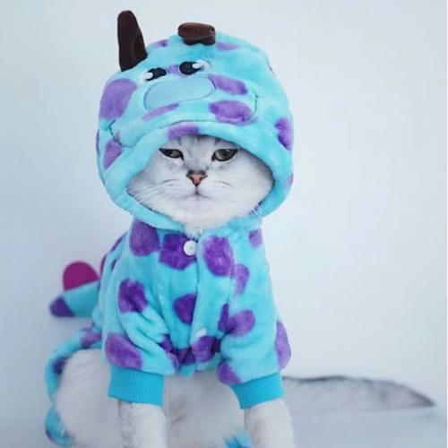 สมาชิกหมายเลข 2504473