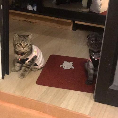 สมาชิกหมายเลข 5200627