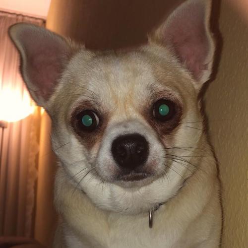 สมาชิกหมายเลข 5200778