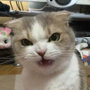 สมาชิกหมายเลข 953428