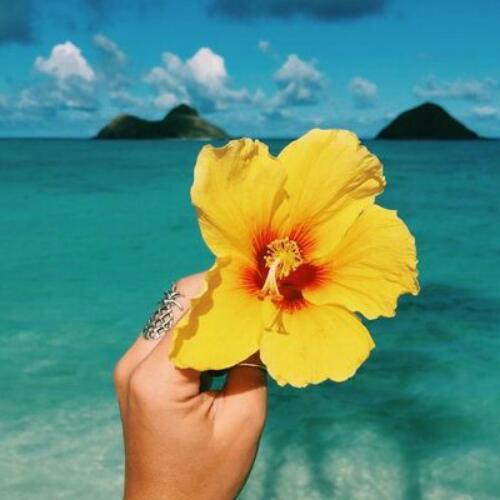 สมาชิกหมายเลข 5589734