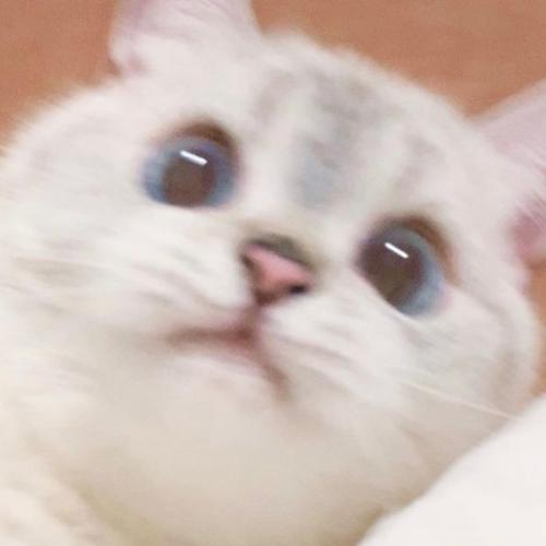 สมาชิกหมายเลข 5614289