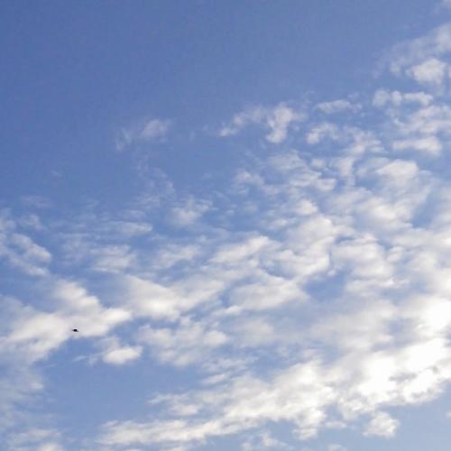 สมาชิกหมายเลข 6179770