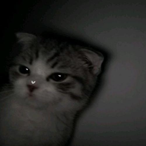 สมาชิกหมายเลข 5970129