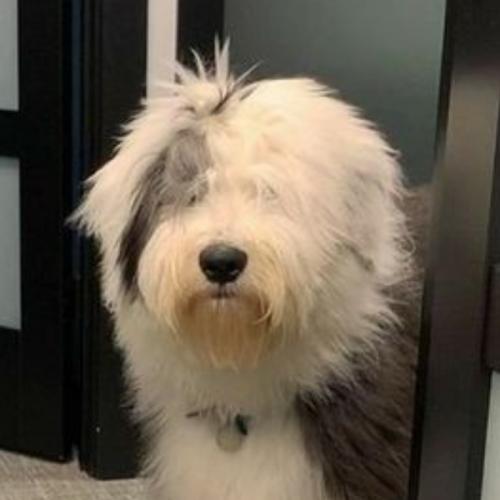 สมาชิกหมายเลข 6817143