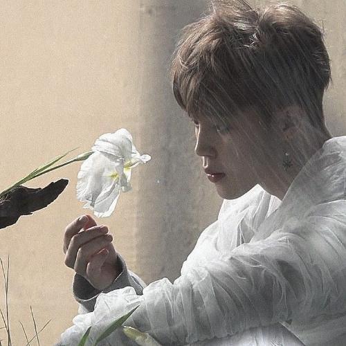 สมาชิกหมายเลข 7587448