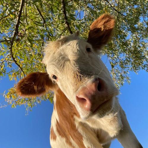 สมาชิกหมายเลข 5443689