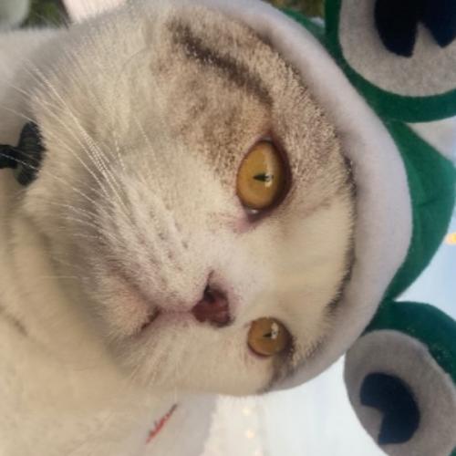 สมาชิกหมายเลข 8511076