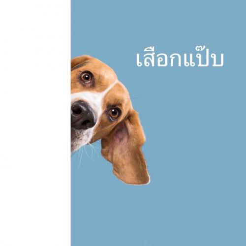 สมาชิกหมายเลข 1954443