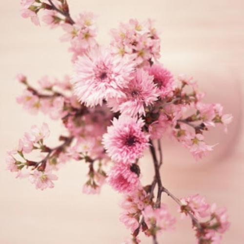 สมาชิกหมายเลข 4396329