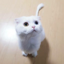 สมาชิกหมายเลข 4483894