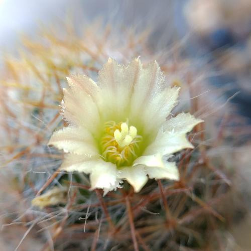 สมาชิกหมายเลข 5008547