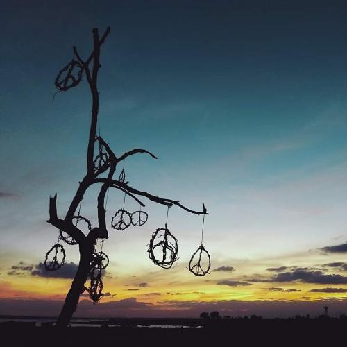 สมาชิกหมายเลข 4392963