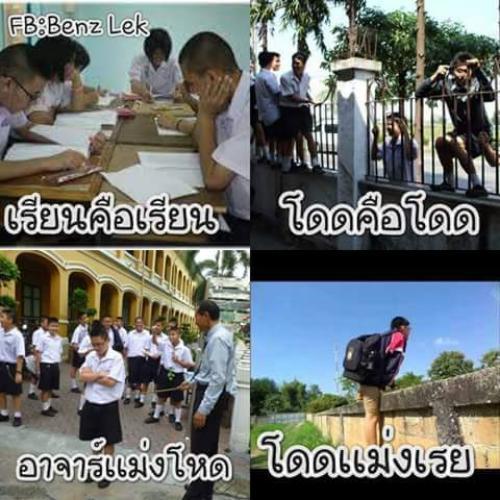 สมาชิกหมายเลข 5612198