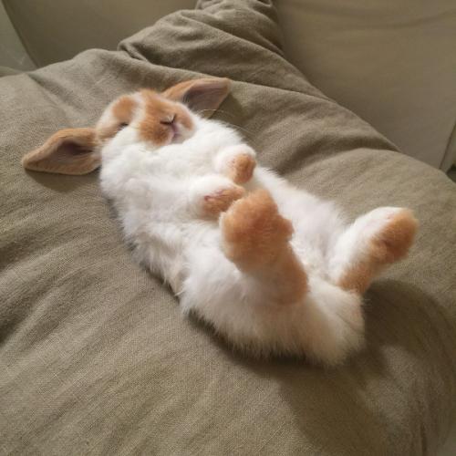 สมาชิกหมายเลข 6180481