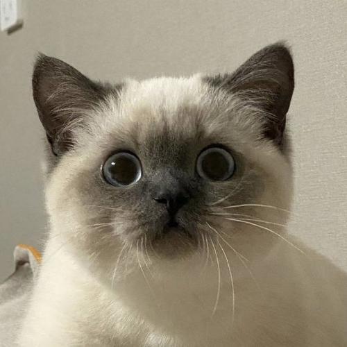 สมาชิกหมายเลข 6818071