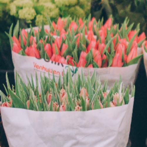 สมาชิกหมายเลข 5768050