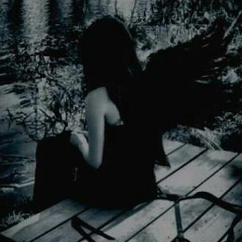 สมาชิกหมายเลข 4253946