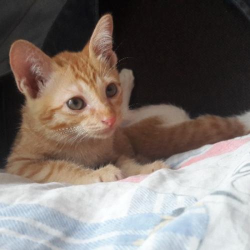 สมาชิกหมายเลข 4484357