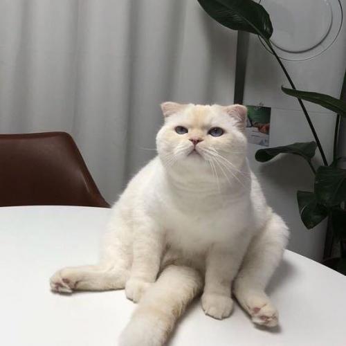 สมาชิกหมายเลข 2253239