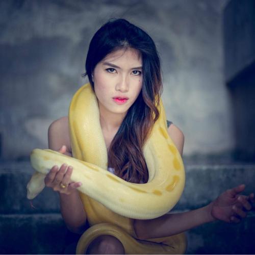 สมาชิกหมายเลข 4706348