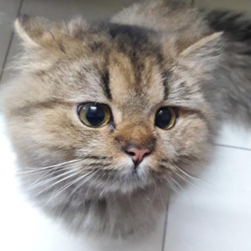 สมาชิกหมายเลข 5158263