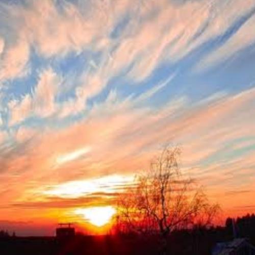 สมาชิกหมายเลข 5579522