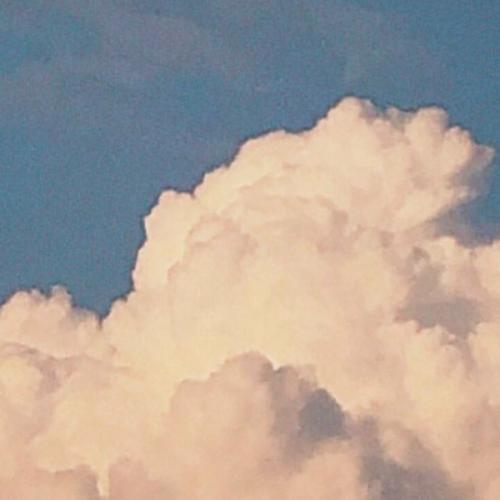 สมาชิกหมายเลข 4199852