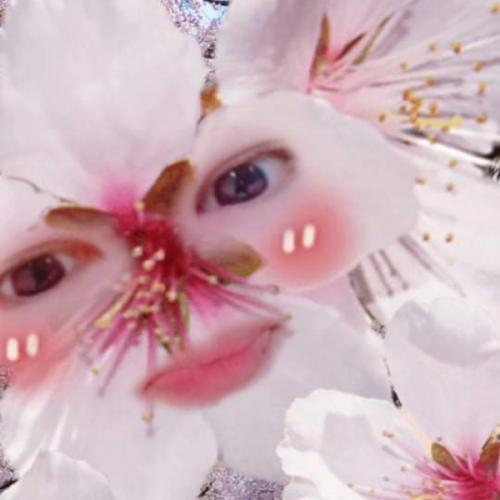 สมาชิกหมายเลข 6805815