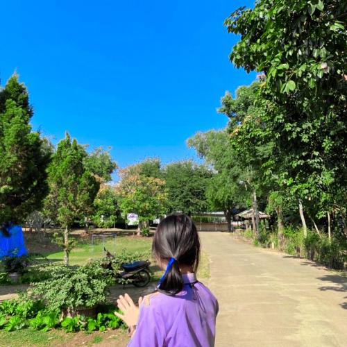 สมาชิกหมายเลข 6819380