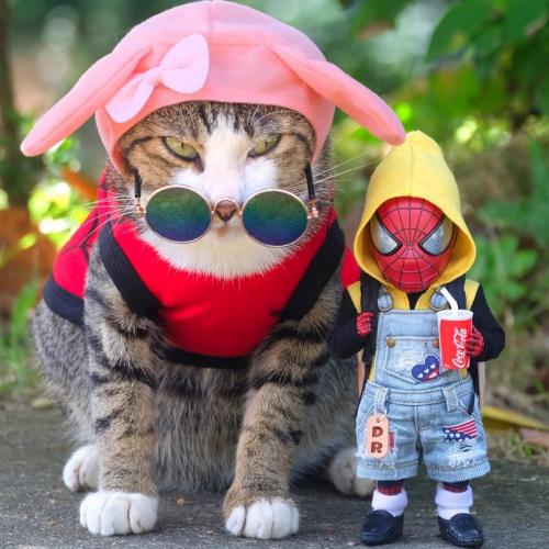 สมาชิกหมายเลข 6566553