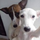 สมาชิกหมายเลข 4021468