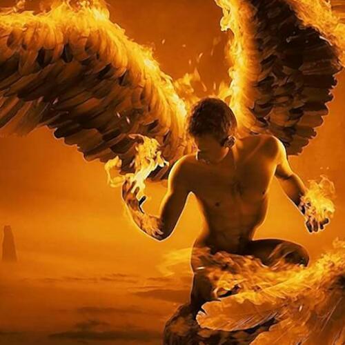 สมาชิกหมายเลข 2682467